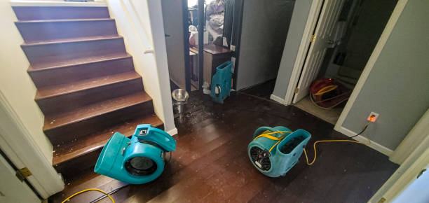 Best Water damage restoration near me  in Malabar, FL
