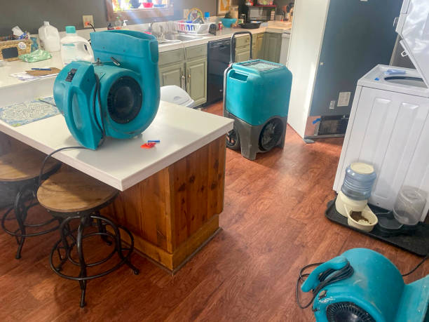Best Flooded house restoration  in Malabar, FL
