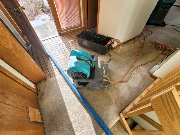 Best Carpet water damage restoration  in Malabar, FL