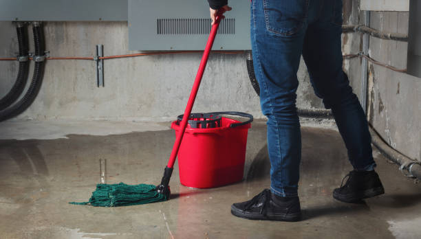 Best Flood damage cleanup  in Malabar, FL
