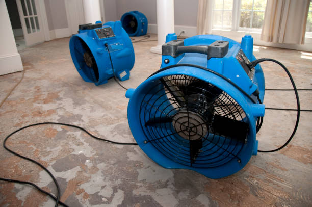Best Basement water damage restoration  in Malabar, FL