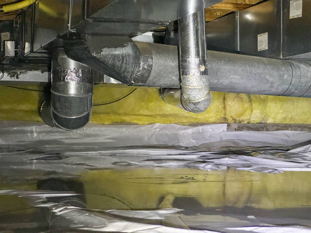Best 24/7 water damage repair  in Malabar, FL