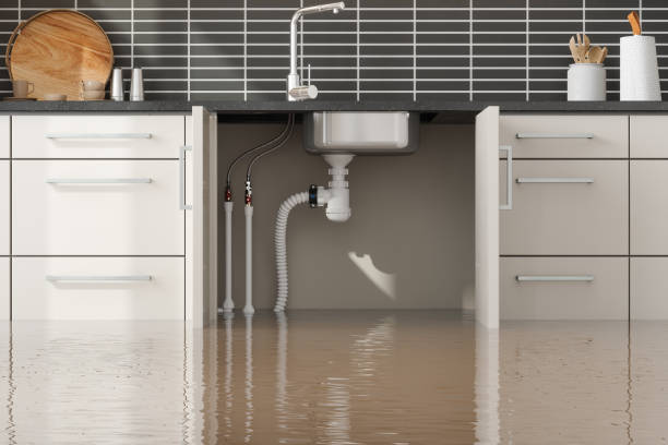 Reliable FL Water damage restoration Solutions