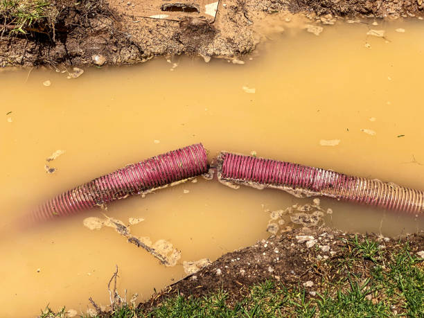 Best Carpet water damage restoration  in Malabar, FL