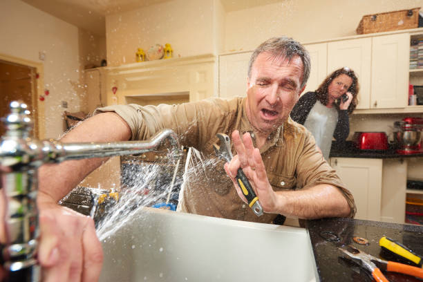 Best Professional water damage repair  in Malabar, FL